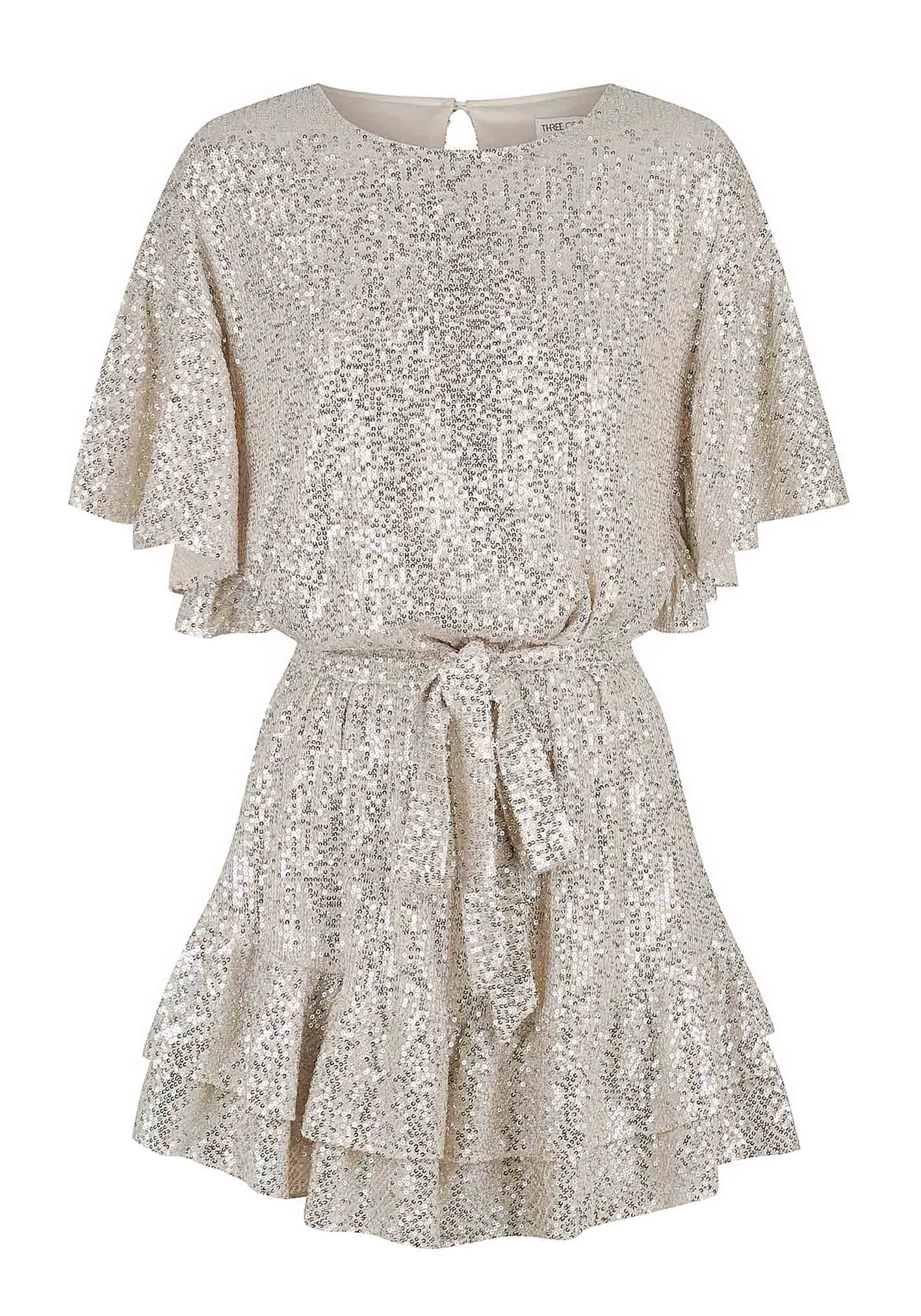 Hereafter Sequin Dress