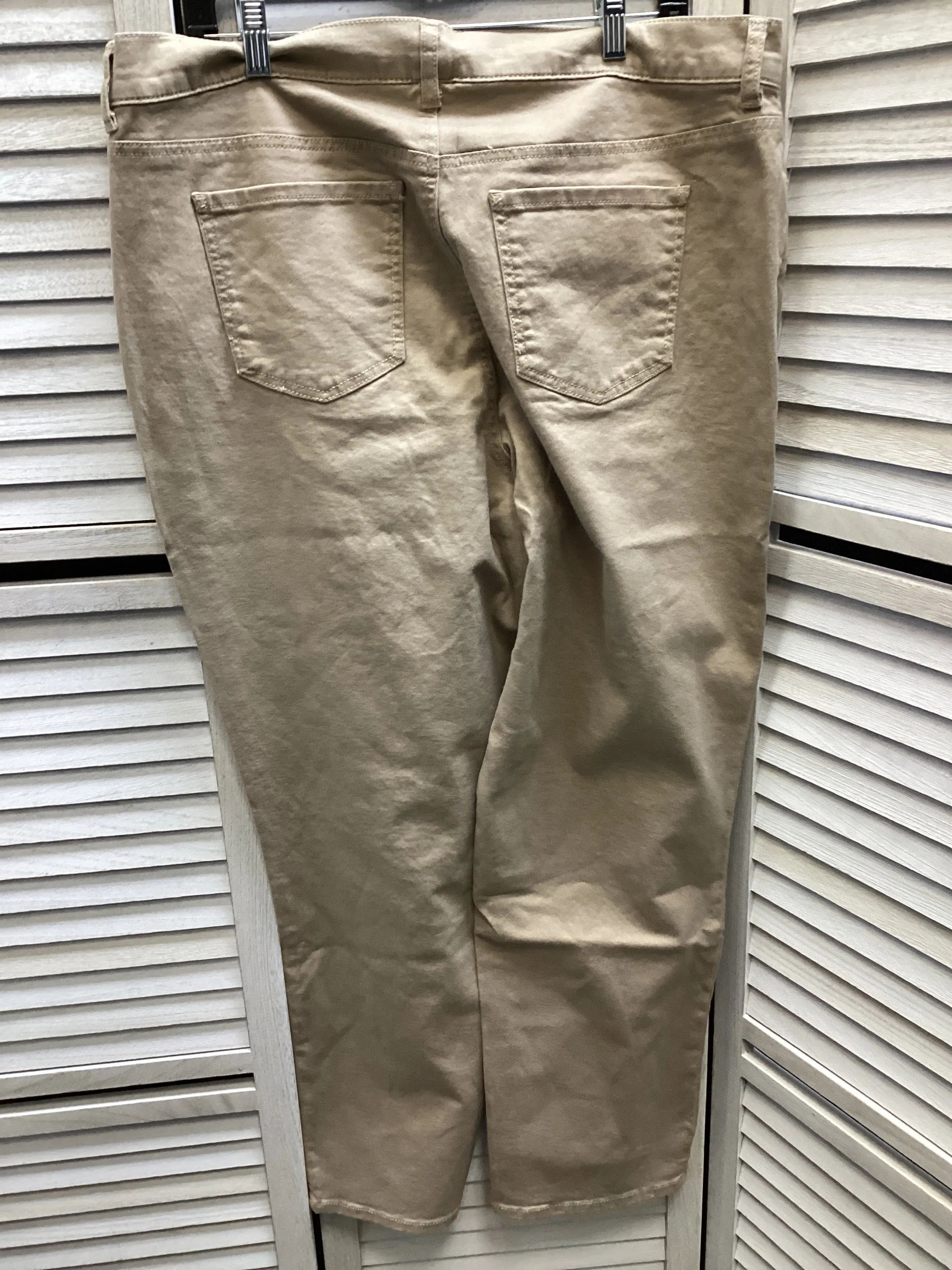 Pants Chinos & Khakis By Terra & Sky In Tan, Size: 18