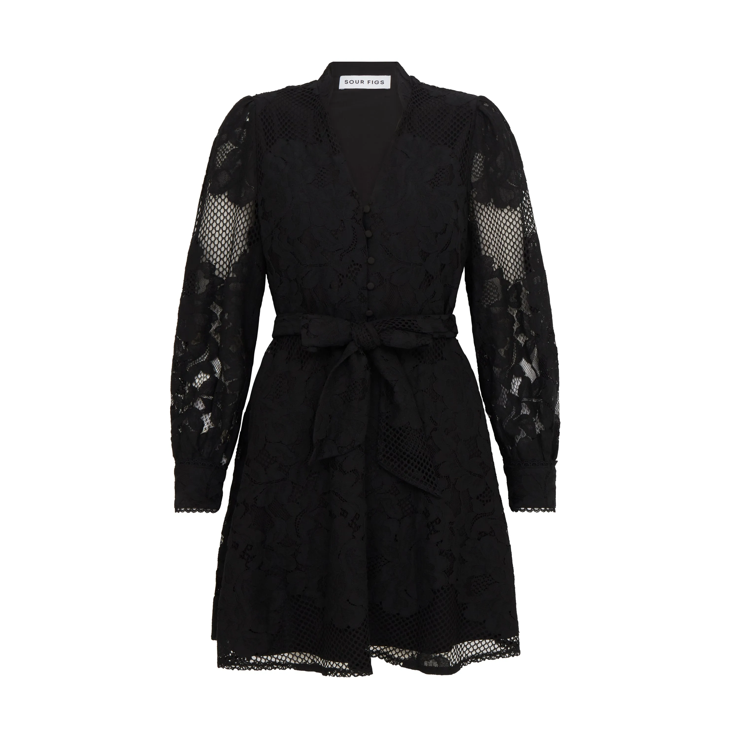 Sheer Lace Long Sleeve Mini Dress in Black